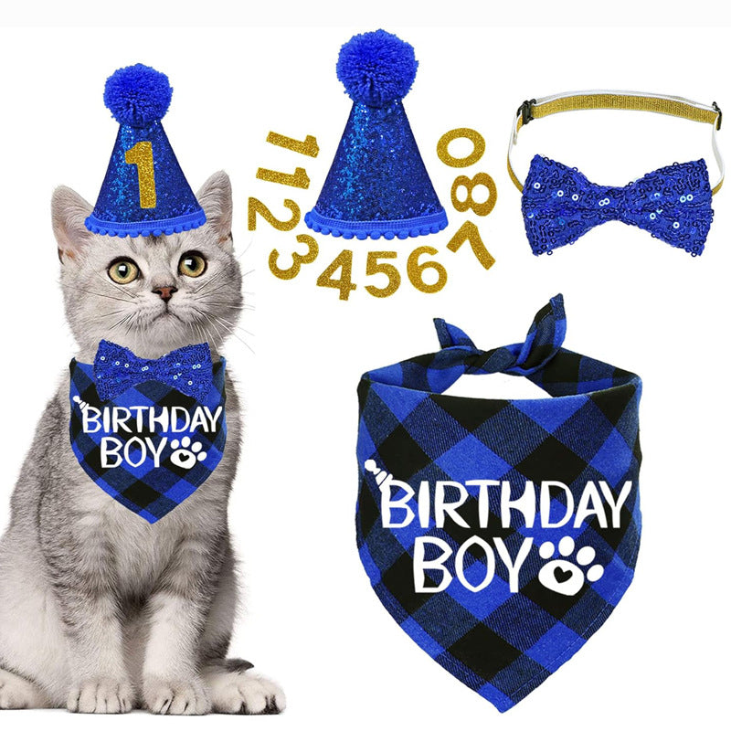 Cat birthday costume