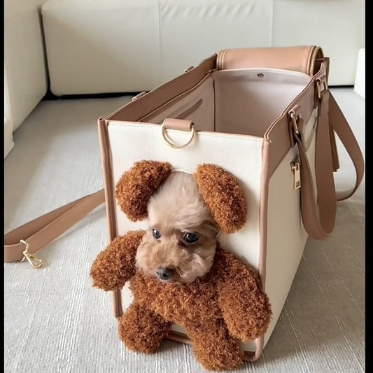 Cute pet carry bag