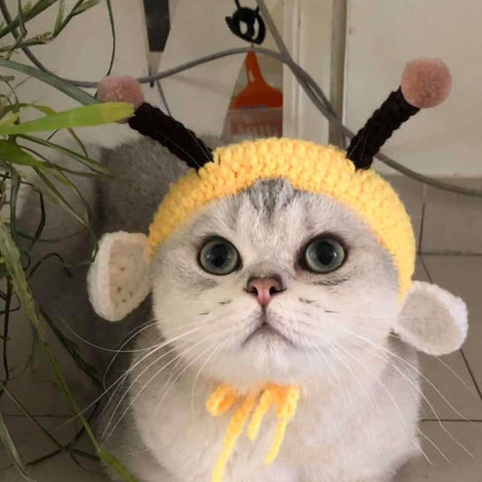 Cute Little Bee Headgear Pet Wool Knitted Hat