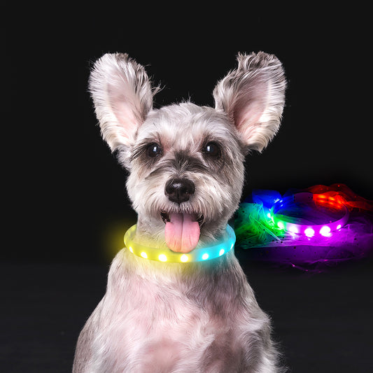 Flash Collar For Dogs USB Charging