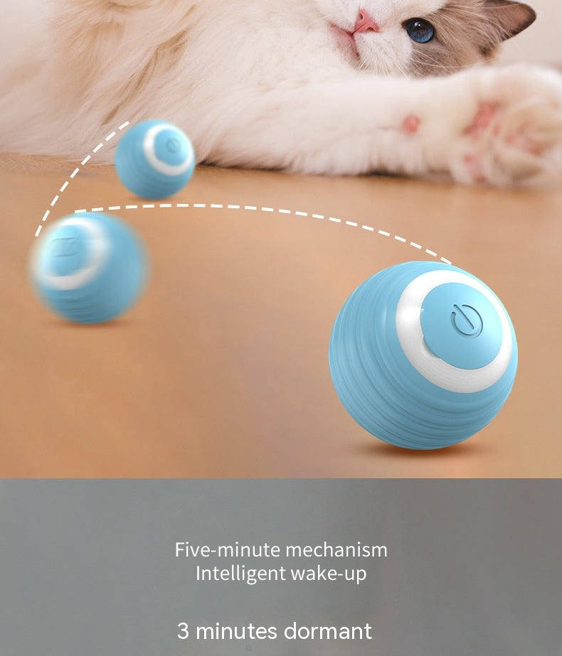 Automatic ball for Cats