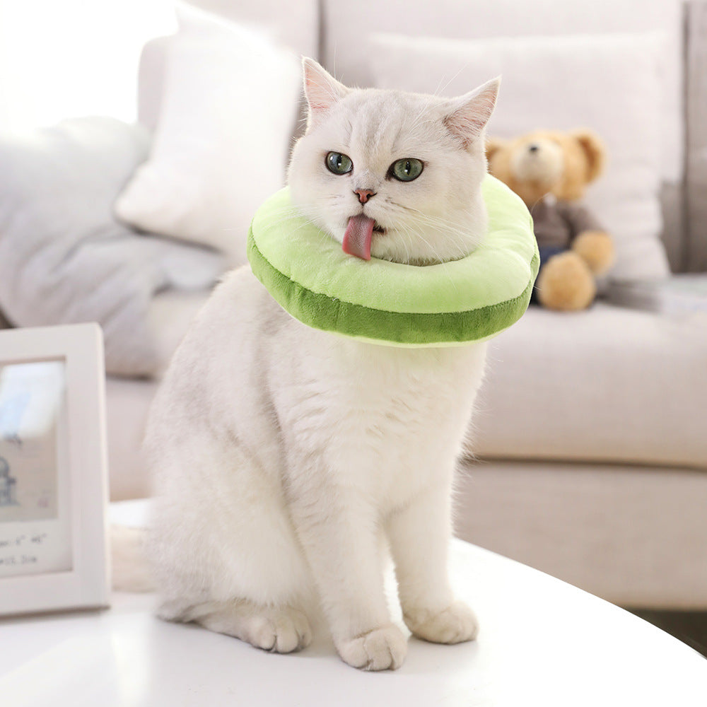 Kitty Toast Headgear and avocado for cats