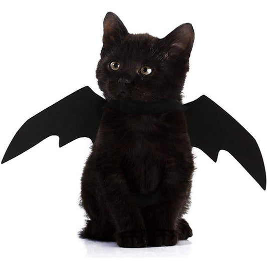 Halloween bat wings for cats