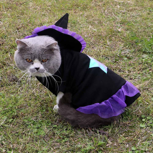 Cat witches costume