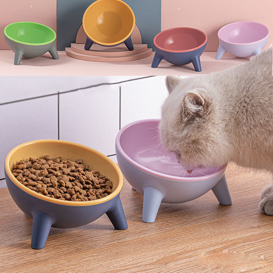 Cat and Dog Bowl With Stand