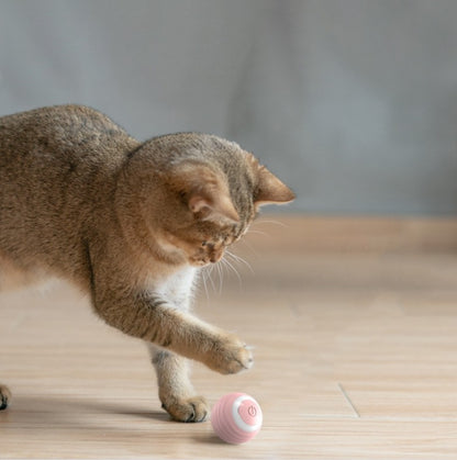 Automatic ball for Cats
