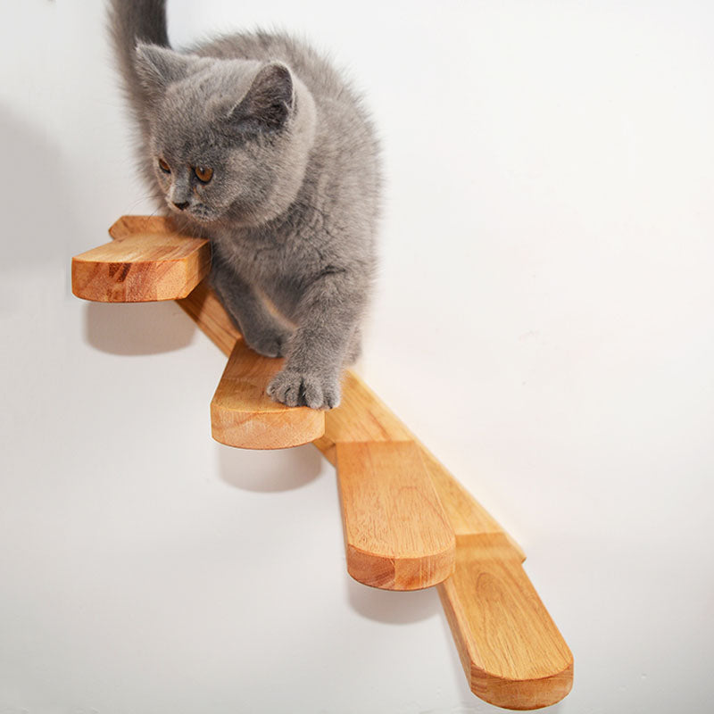 Cats Climbing Ladders