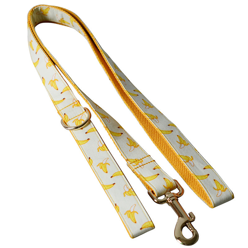 Banana leash and collar with Gold Metal Buckle