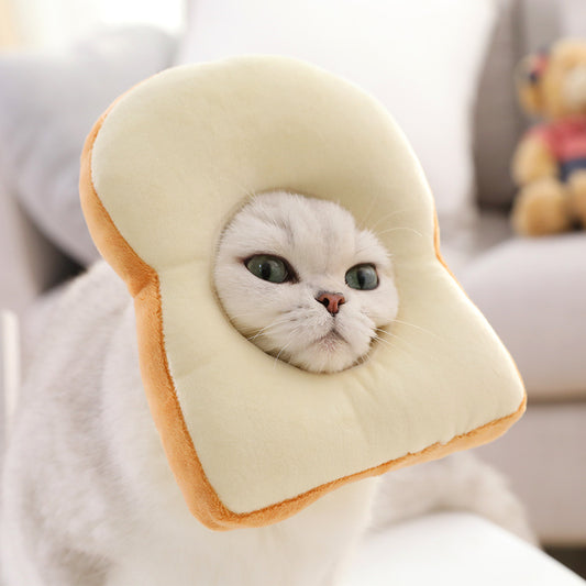 Kitty Toast Headgear and avocado for cats
