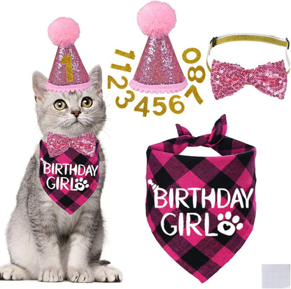 Cat birthday costume