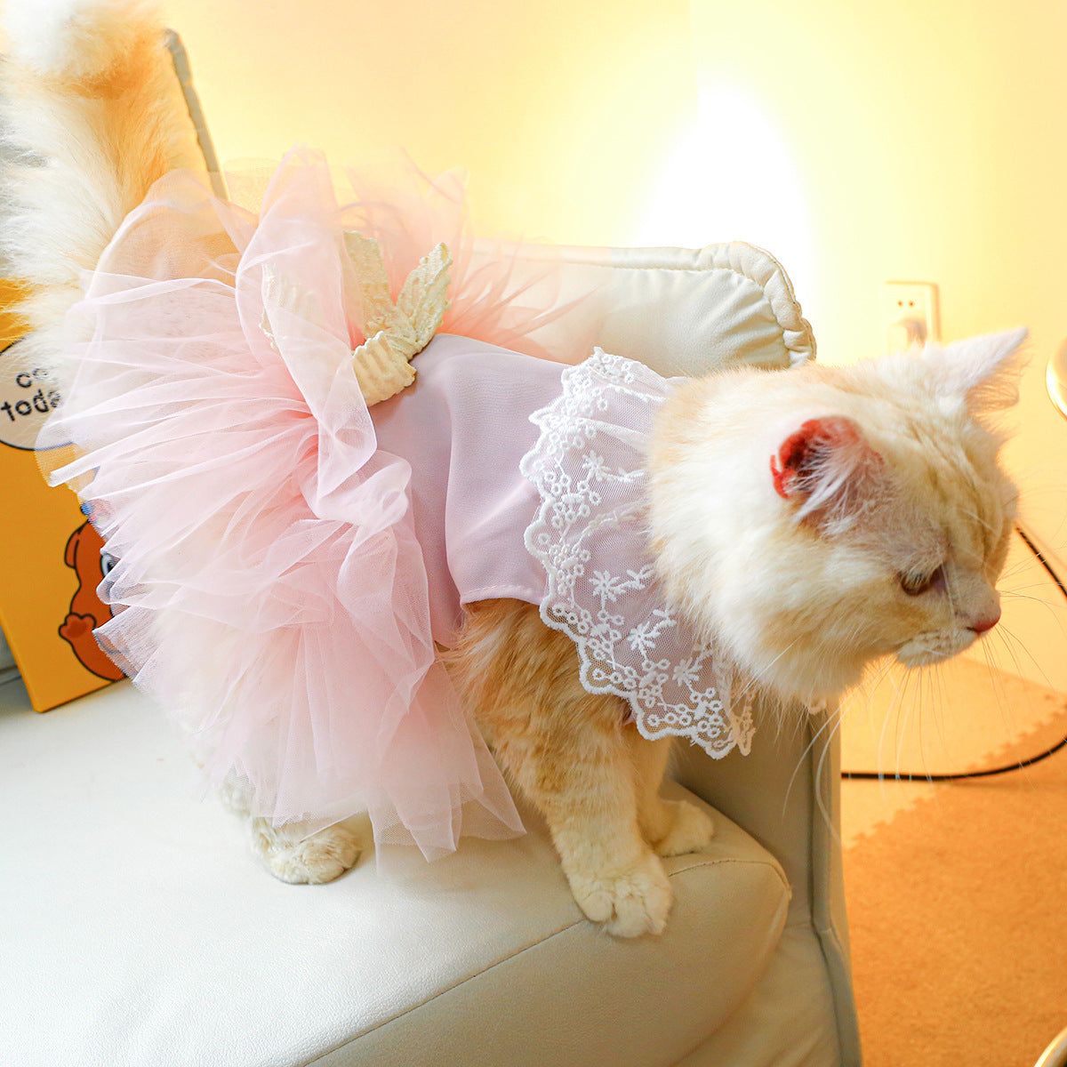 Cat lace dress