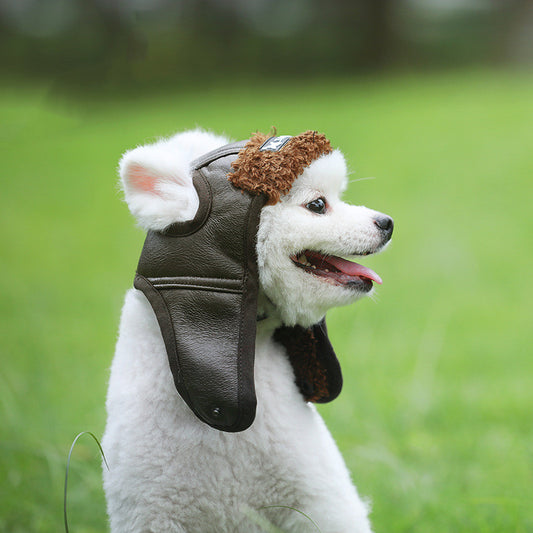 Autumn /Winter dog hat