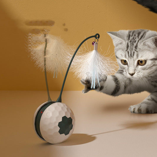 Electric Intelligent Bite Resistant Cat Toys